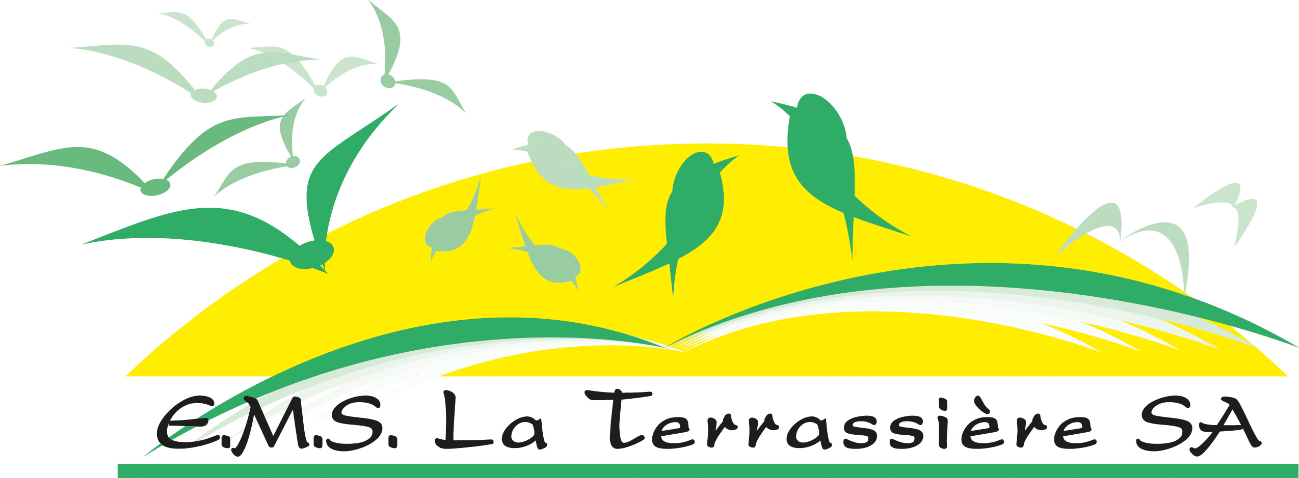 E.M.S La Terrassière SA - logo
